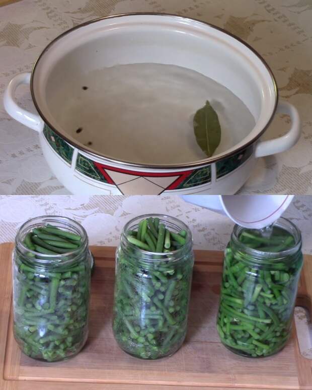 заготовка чесночных стрелок на зиму