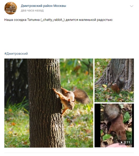 Фото дня: ручные белки в «Вагоноремонте»