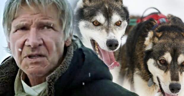 Самые ожидаемые фильмы 2020 года, которые должны 