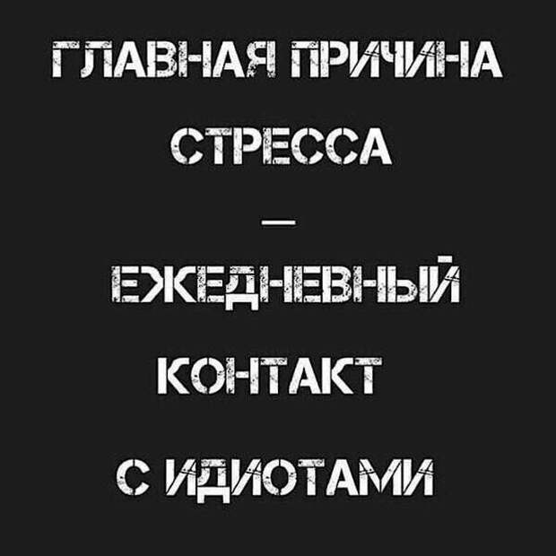 Самые правильные жизненные высказывания, к которым люди пришли не сразу