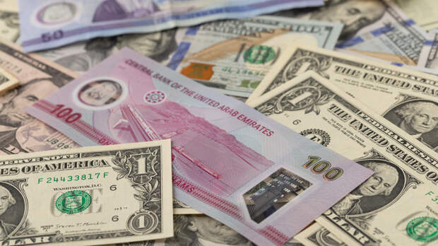 Эксперт Диашов: дирхам ОАЭ не сможет полностью заменить доллар