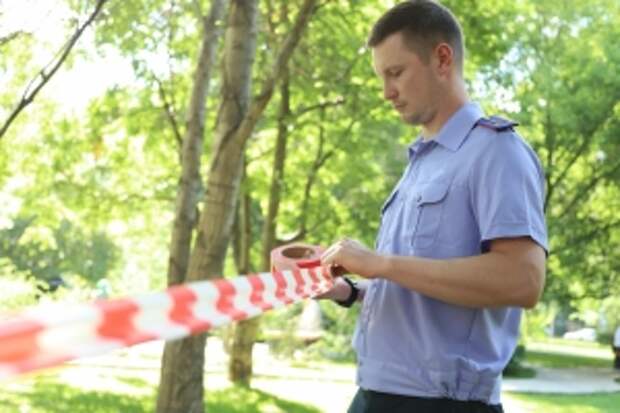 Председатель Следственного комитета России поручил доложить о ходе расследования  уголовного дела по информации о ДТП в Ленинградской области с участием пассажирского автобуса