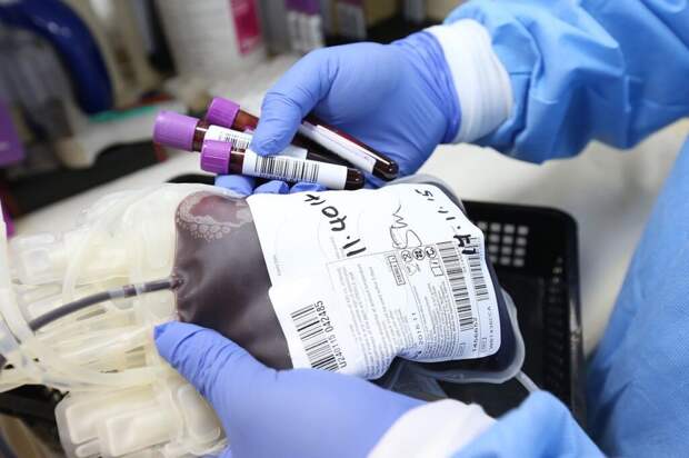 Россия поставляет на границу с Украиной комплекты для переливания крови