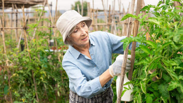 Без болей в спине и мигреней: четыре правила работы в огороде, которые многие не соблюдают