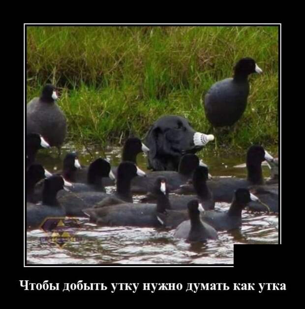 Демотиваторы (20 фото)