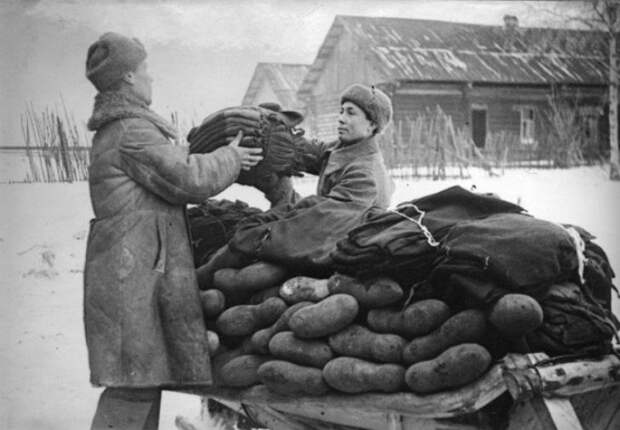 Факты о русском народе
