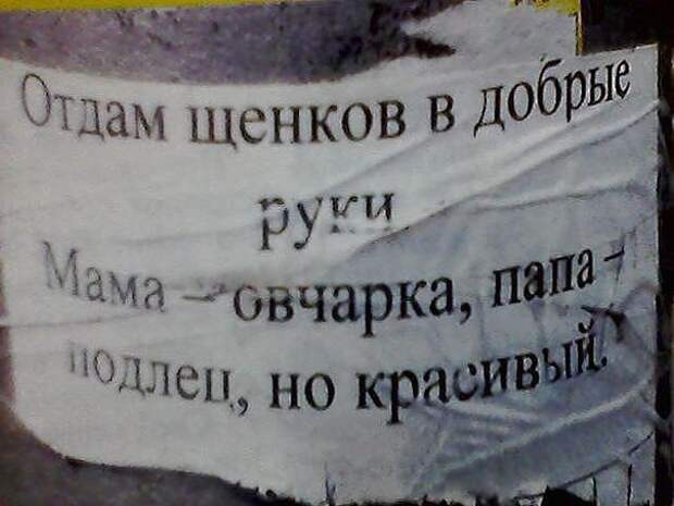 Маразмики. Прикольные объявления и надписи