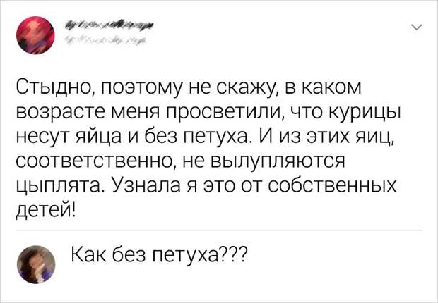 20+ очаровательных заблуждений, в которые было бы так сладко верить как можно дольше