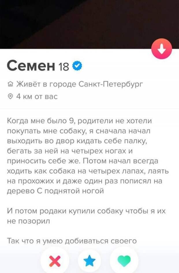 Анкеты из приложения для знакомства, на которых пользователи пытаются быть лучше, чем они есть