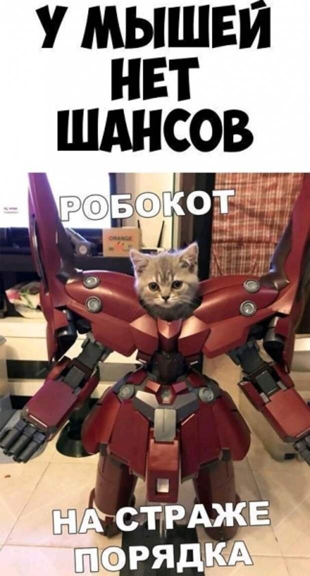 Прикольные картинки (30 фото)