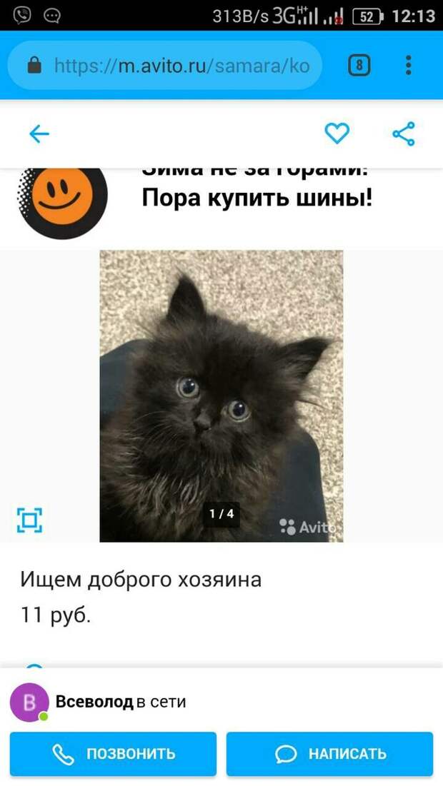 Осторожно, возможно маньяк. Домашние животные, Дети, Маньяк, Длиннопост, Кот