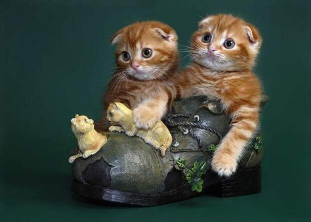 Давайте улыбаться вместе! :)