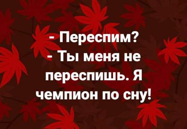 Из интернет переписки в чате:  - Опиши себя?...