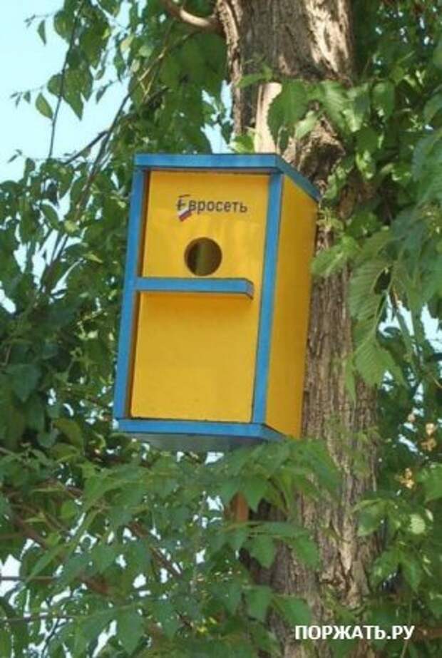 Приколы, картинки юмористические.