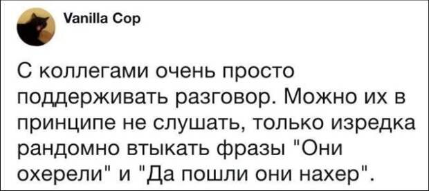 Лучшие комментаторы социальных сетей снова в деле! Лучшие комментаторы социальных сетей снова в деле!
