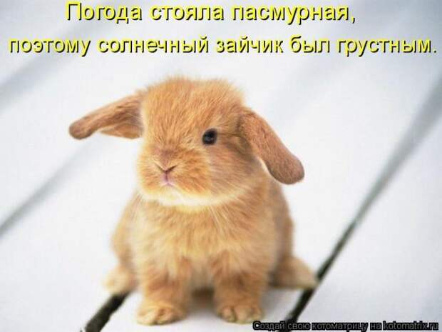 Мысли вслух :)