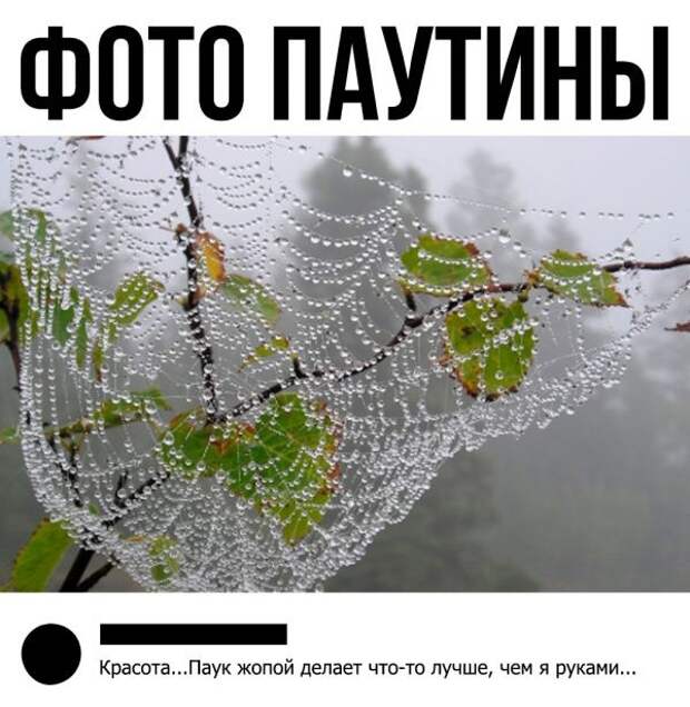 Еще больше шуток и перлов из социальных сетей Еще больше шуток и перлов из социальных сетей