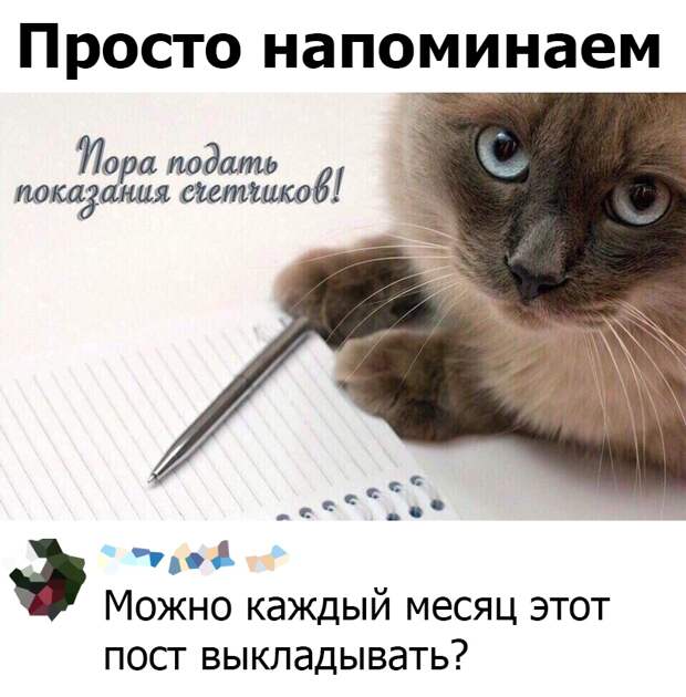 www.vsyako.net