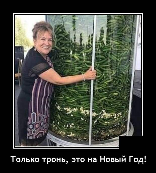 Демотиваторы 9 декабря 2021 года