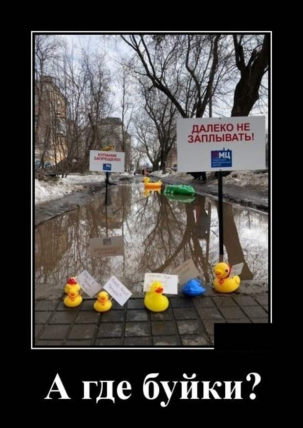 Демотиваторы