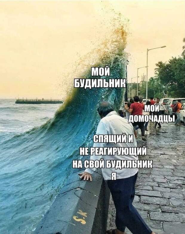 Свежие прикольные фотомемы