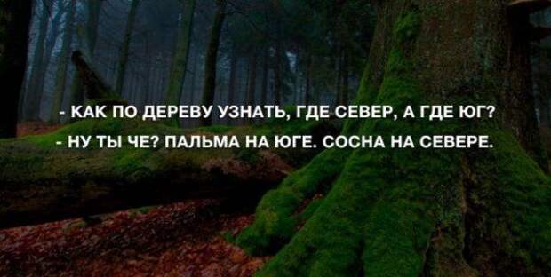 pozitiva-anekdoty-kartinki-smeshnye-kartinki-fotoprikoly pozitiva-anekdoty-kartinki-smeshnye-kartinki-fotoprikoly