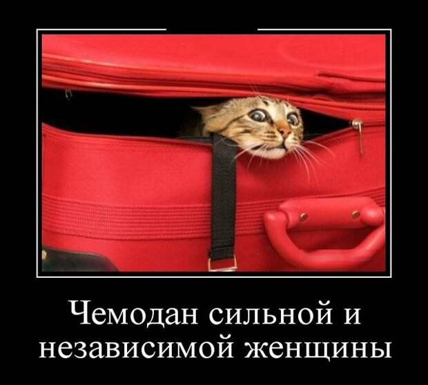 Демотиваторы (30 фото)