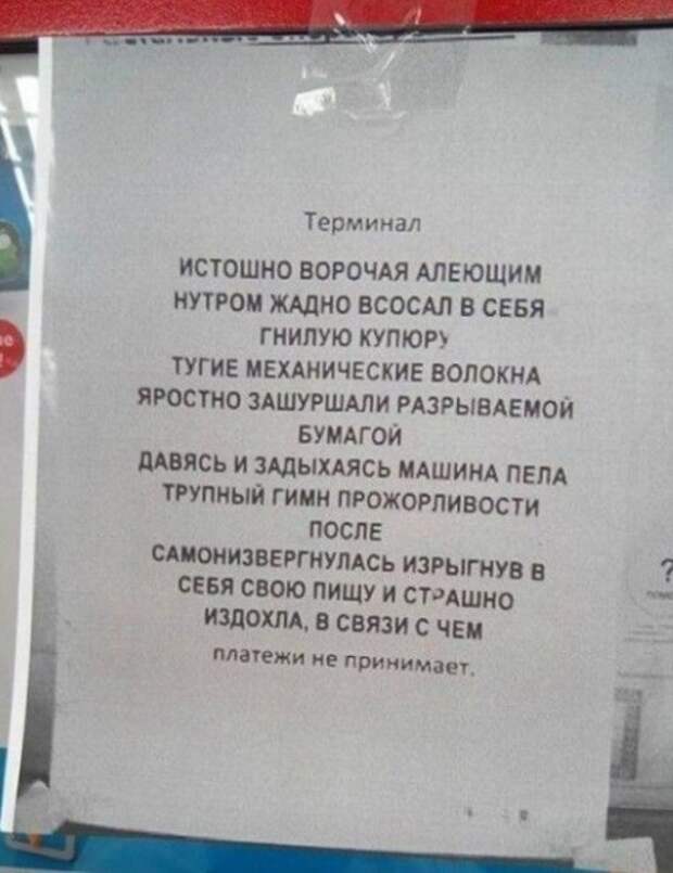 Забавные и странные объявления с наших улиц (22 фото)