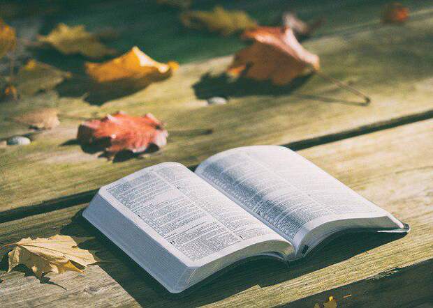 Книга/Фото: pixabay.com