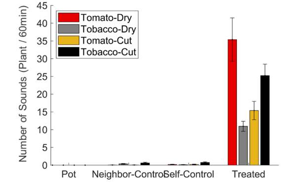 Число звуков, которые издали сухой томат (красный), сухой табак (серый), подрезанный томат (песочный) и подрезанный томат (черный) по сравнению с пустым горшком (pot), контрольными растениями (neighbor-) и самими собой до эксперимента (self-)Itzhak Khait et al. / biorXiv