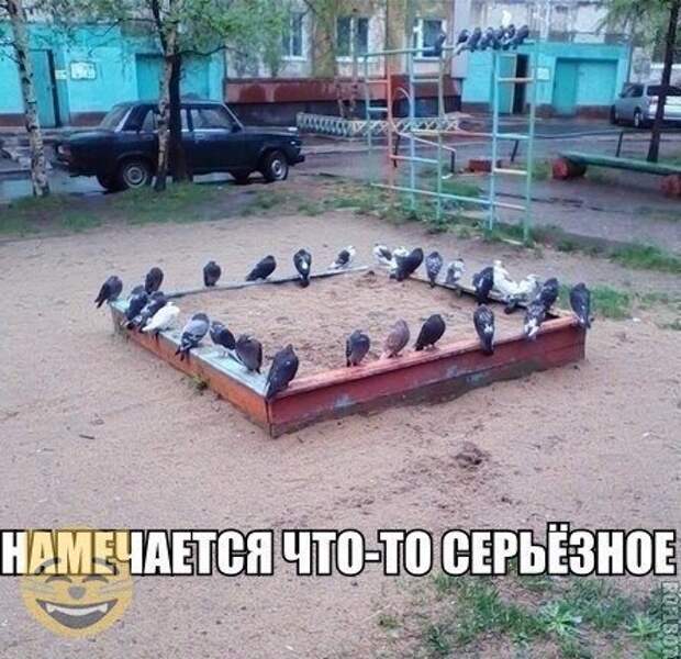 инторнэтное насобиралово