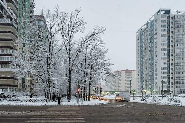 На Кубани из-за снегопада более пяти тысяч домовладений без света, падают деревья