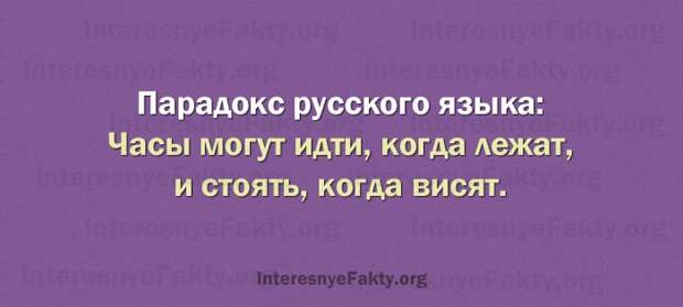 Особенности русского языка - INFOnotes