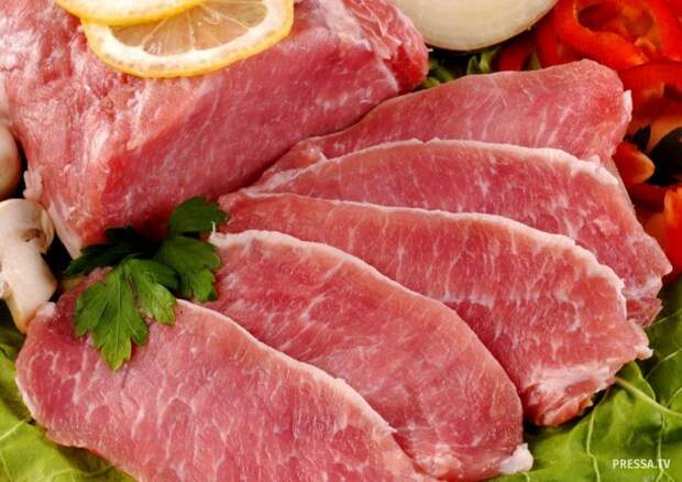 Продукты, которые не следует давать кошке