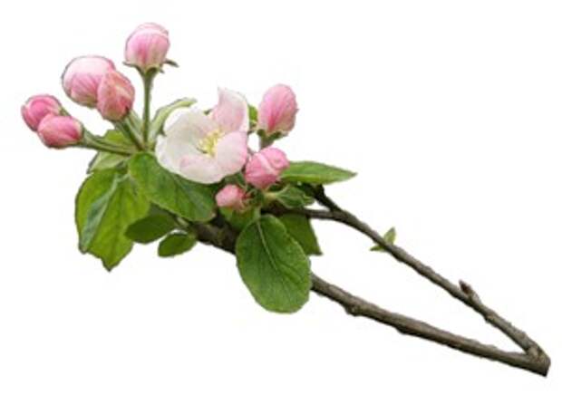 http://li-web.ru/