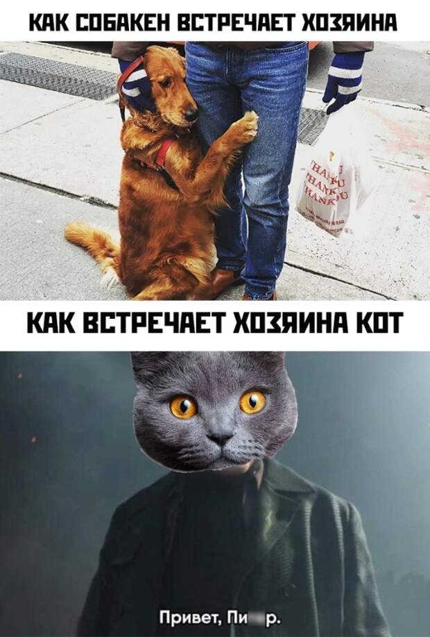 Смешные картинки 6 сентября 2021 года