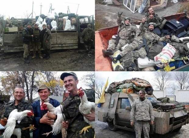 Украина: нация, которая безбожно грабит, уничтожает всё на корню 