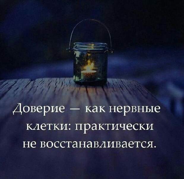 Несколько хороших фраз о правде жизни