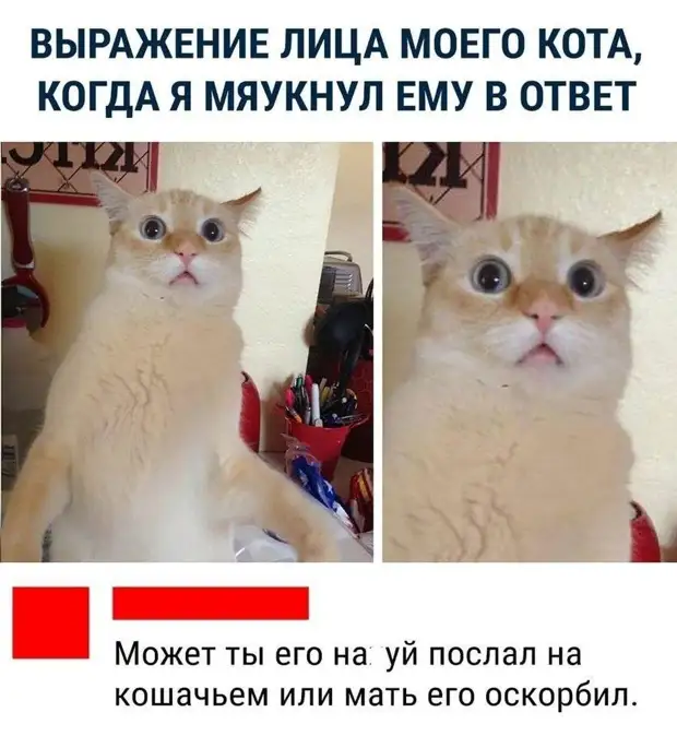 Всем, кто набил свой дом гречкой, оставив других ни с чем: покайтесь, гречники! когда, конечно, мужик, купишь, время, отстает, корова, куплю, домой, своих, говорил, спрашивает, вывалила, следом, приходить, увеличить, абсолютно, разговор, текстом, Булочкин