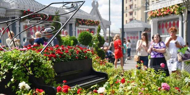 В Москве проходит фестиваль «Цветочный джем». Фото: mos.ru