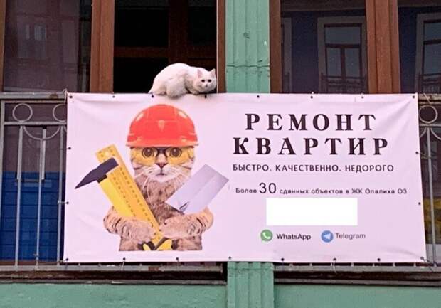 Что-то с реальностью не всё в порядке
