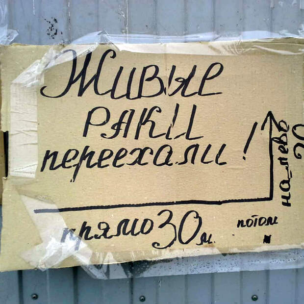 Настолько живые, что уехали своим ходом! Настолько живые, что уехали своим ходом!