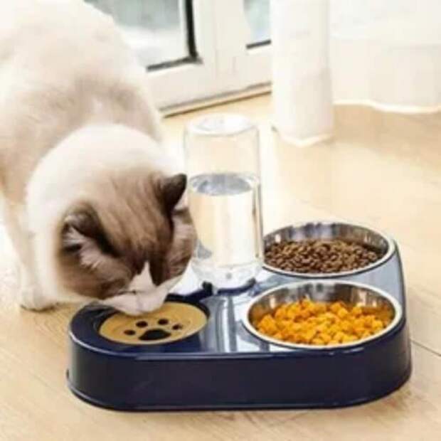 Мы кормим кошку разными сухими кормами, можно ли так делать, или лучше кормить и сухим и влажным кормом