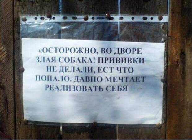 Необычные информационные таблички с калиток, ворот и заборов (15 фото)