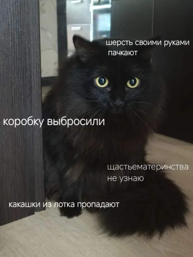 Утро начинается с улыбки! ☀
