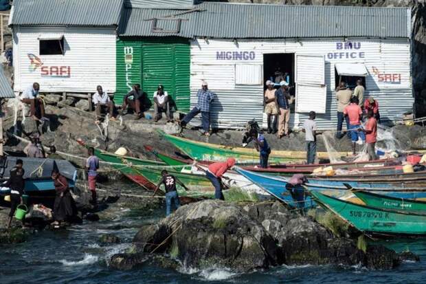 Рыбная торговля процветает на острове Мигинго, африка, виктория, мир, озеро, остров, путешествия