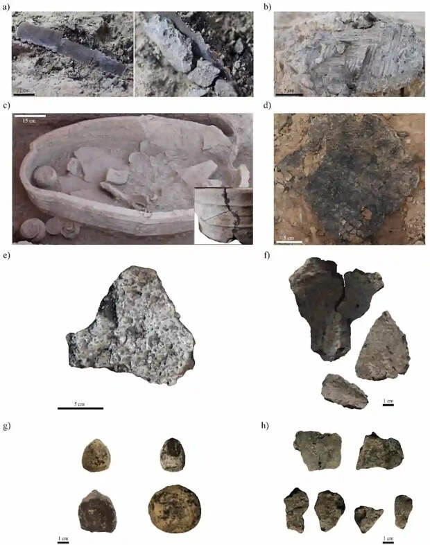 Фото: V. Caruso et al., 2026; archaeological context after Romano and D’Agostino, 2019