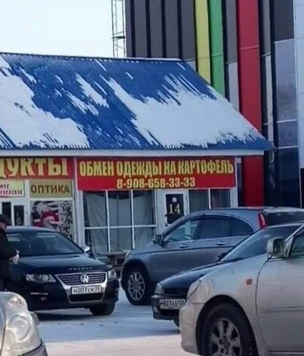 Какой нынче курс? загадка, коты, прикол, тайна, холодильник, что происходит, юмор