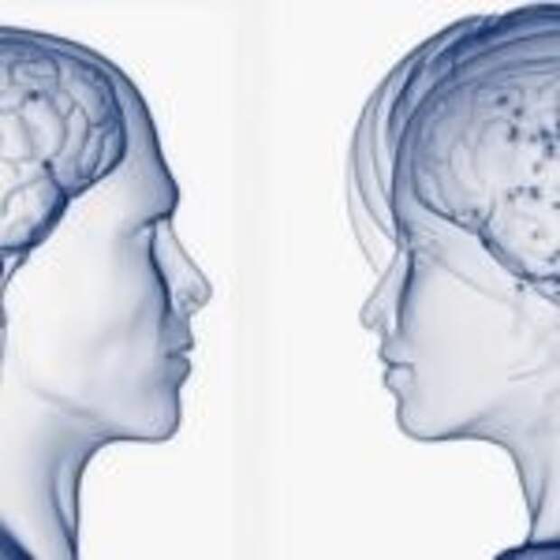 В чем же отличия между мужским и женским мозгом?