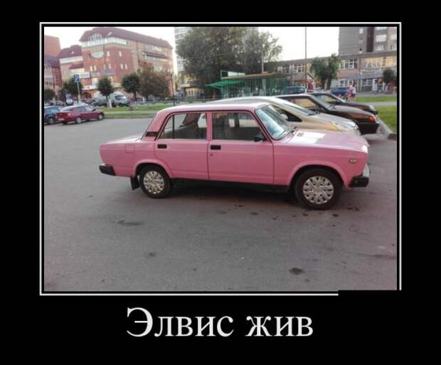 Веселые и позитивные демотиваторы для настроения (11 фото)